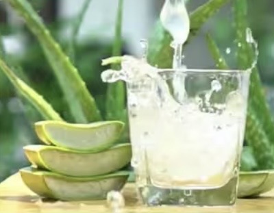 সকালে খালি পেটে অ্যালোভেরা শরবত পানের উপকারিতা