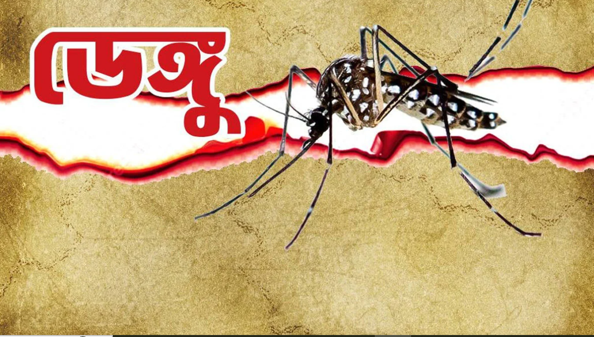 খুলনা বিভাগে ডেঙ্গুতে এক দিনে ৫ জনের মৃত্যু
