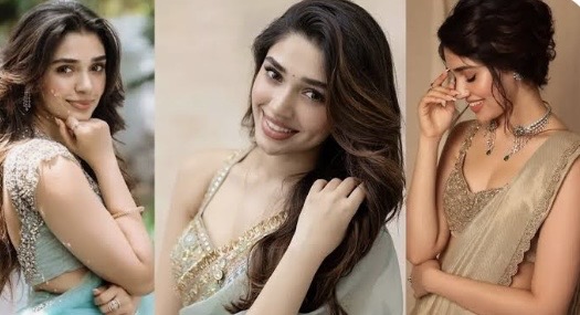 বলিউডে অভিষেক ঘটতে যাচ্ছে দক্ষিণী  জনপ্রিয় তারকা কৃতি শেঠির