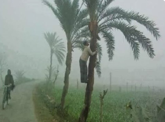 শীত আসার সময় জানাল আবহাওয়া অফিস