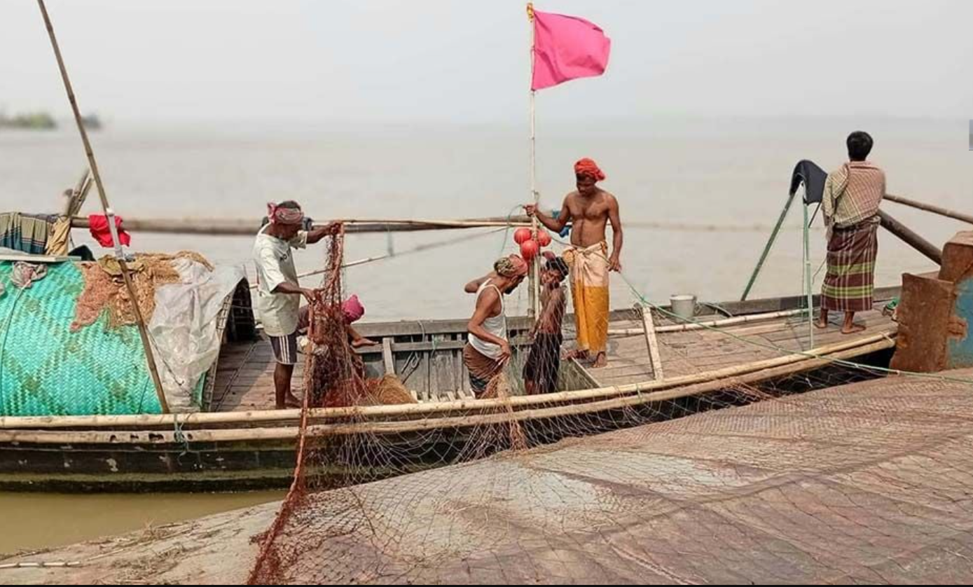 ভরা মৌসুমে পদ্মায় ইলিশ পাওয়া যাচ্ছে না, জেলেদের মাথায় হাত