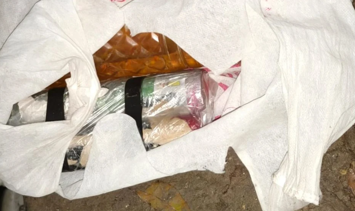 লালনের মাজারে শপিং ব্যাগে মিলল টাইম বোমাসদৃশ ডিভাইস
