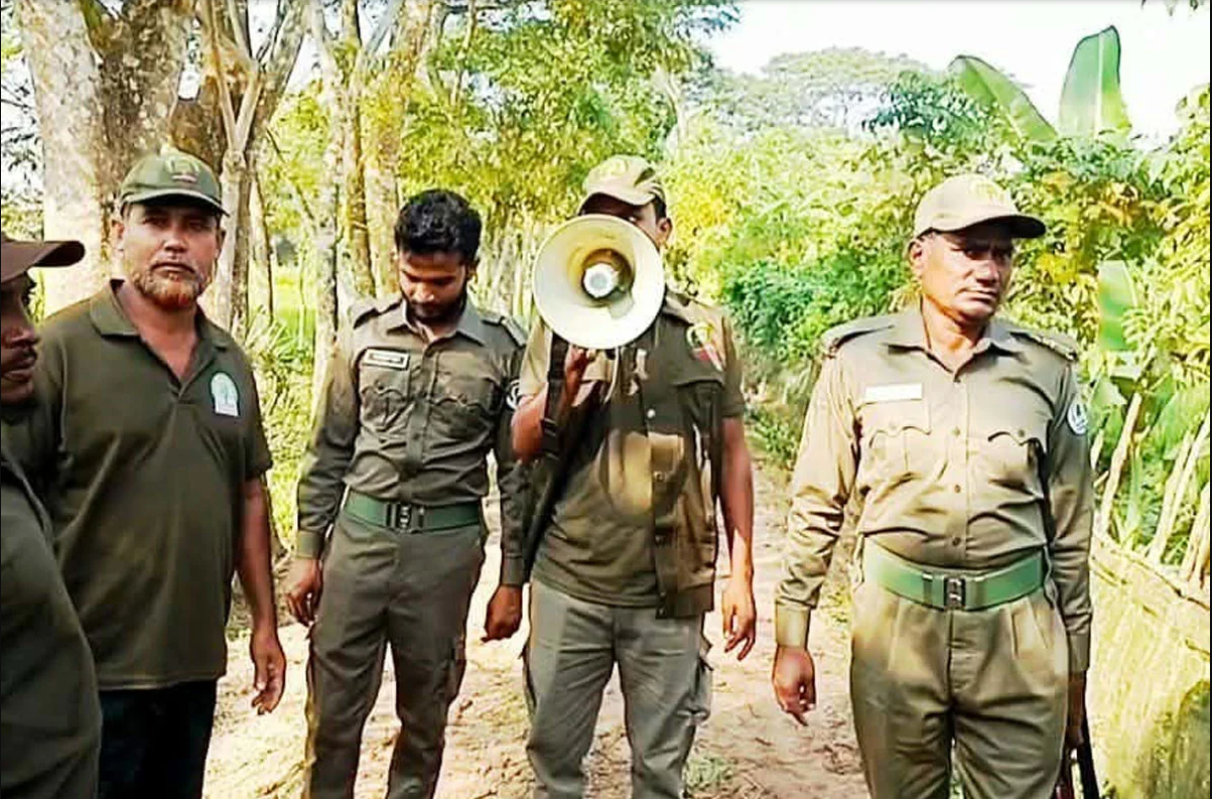 লোকালয়ে আবারও বাঘ, সুন্দরবনসংলগ্ন এলাকায় আতঙ্ক