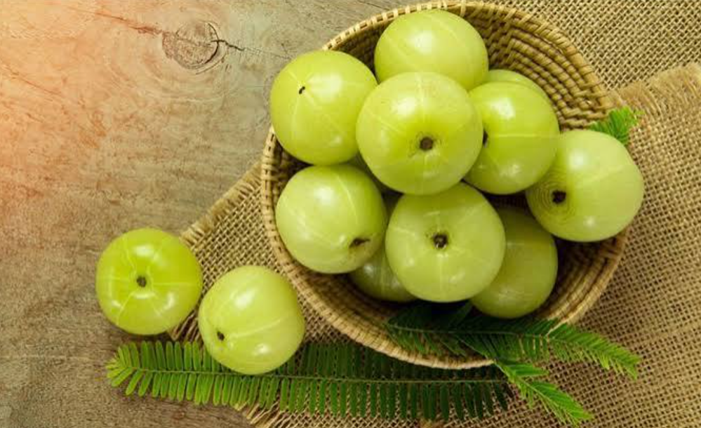 ডায়াবেটিস রোগের জন্য আমলকী কতটা উপকারী